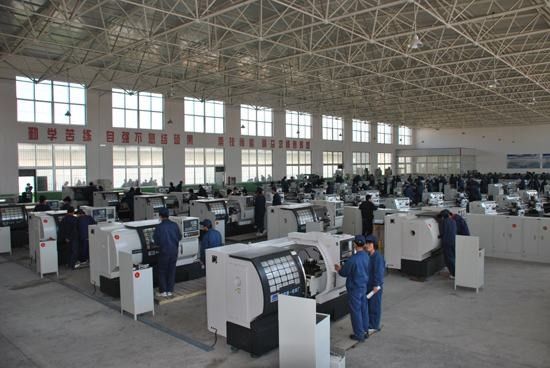 Qingdao Rapid Health Technology Co.Ltd.