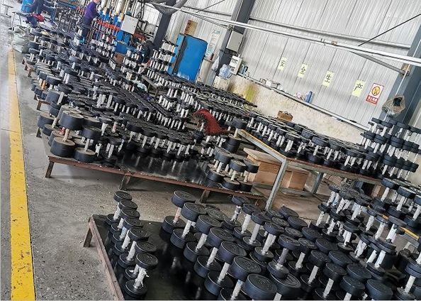 china Qingdao Rapid Health Technology Co.Ltd.