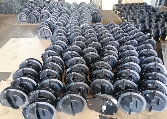 輸出標準パレットパッケージのための高速な黒色種子メーター