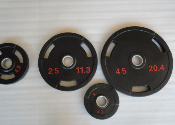 Tay cầm không gỉ 5kg CR Plating Dumbbell Gym Fitness Dumbbell