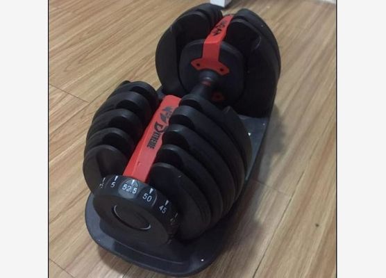 El ejercicio cementa pesa de gimnasia ajustable de la aptitud del gimnasio 12.5lbs